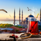 Туры с посещением Стамбула