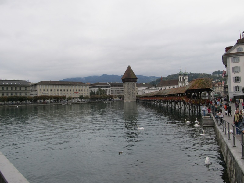 gallery_17413_1074_117303.jpg