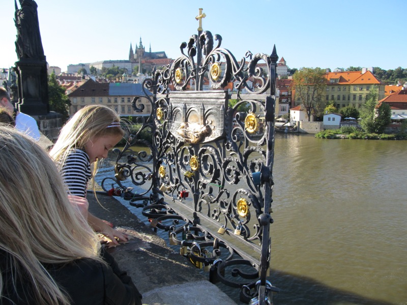 gallery_17413_1074_129741.jpg