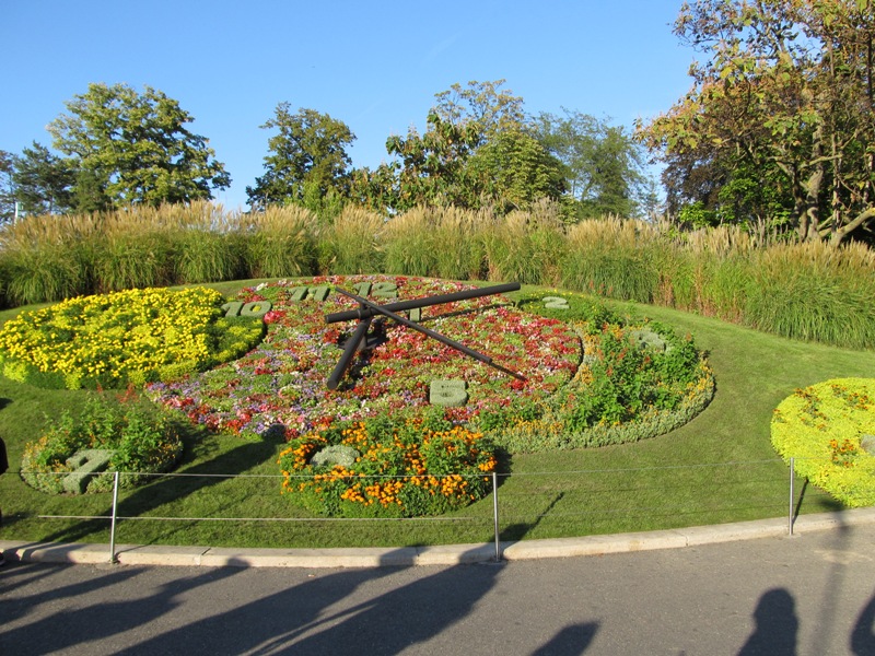 gallery_17413_1074_133487.jpg