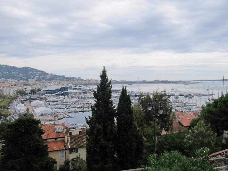 gallery_17413_1074_37244.jpg