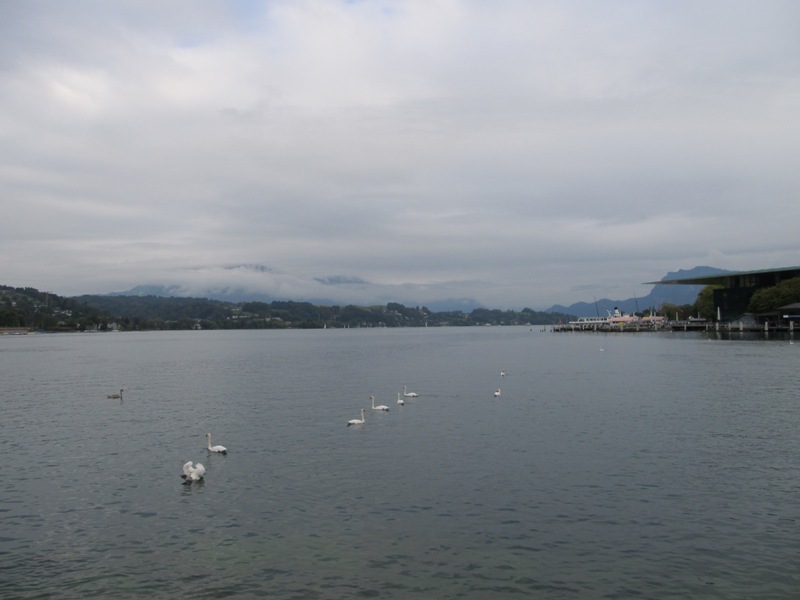 gallery_17413_1074_70670.jpg