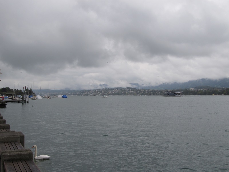 gallery_17413_1074_75229.jpg
