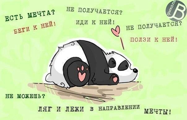 gallery_17413_1411_31011.jpeg