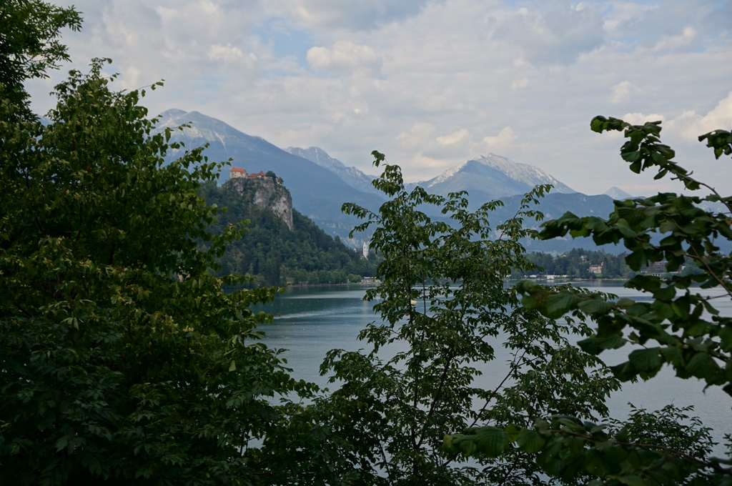 gallery_17413_1433_345538.jpg