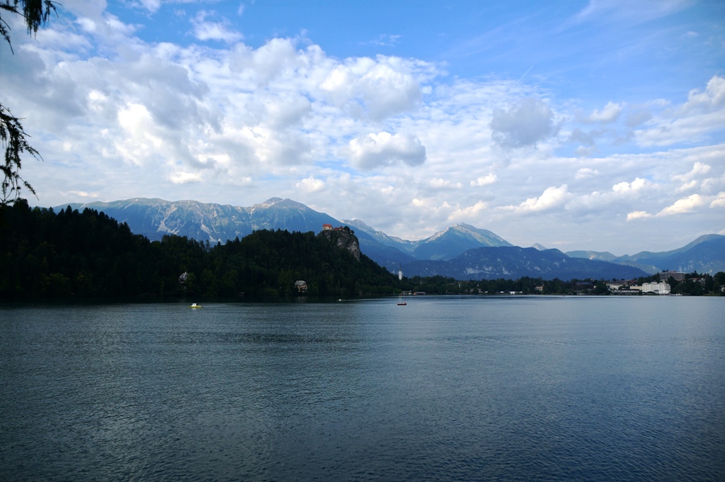 gallery_17413_1433_44765.jpg