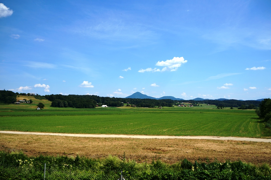 gallery_17413_1435_205007.jpg