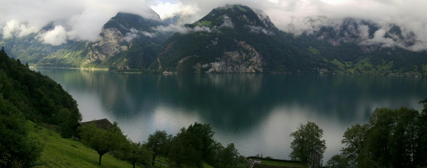 gallery_25662_1139_168446.jpg