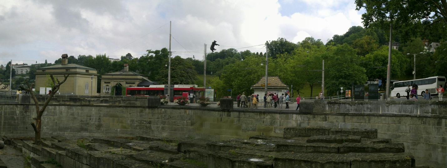 gallery_25662_1139_34164.jpg