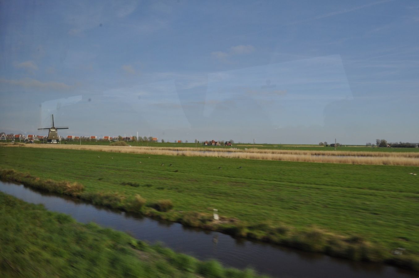 gallery_25662_1455_168321.jpg