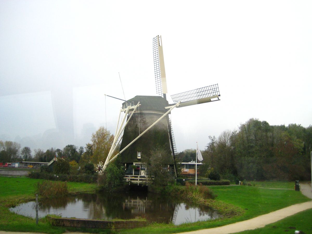 gallery_29324_1316_1846557.jpg