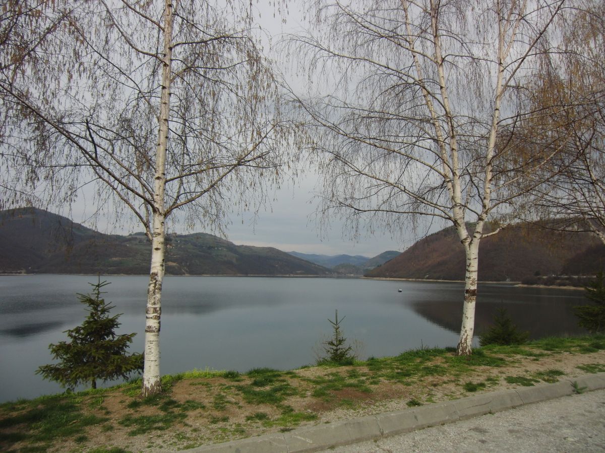 gallery_31820_1215_4442482.jpg