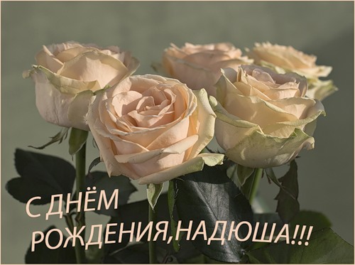 С днём рождения поздравления надежда С днём рождения поздравления надежда