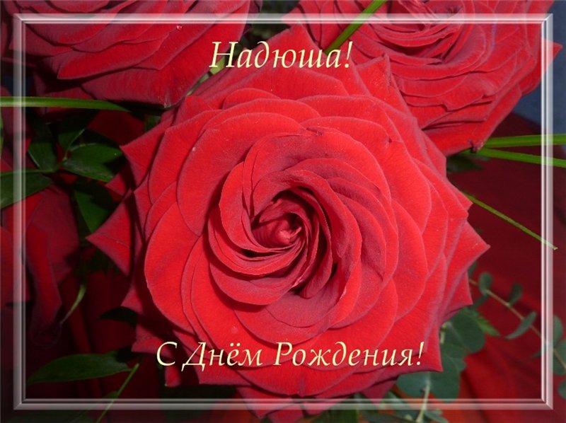 Плейкаст с днем рождения надежда надя Плейкаст с днем рождения надежда надя
