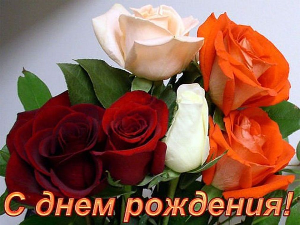 Поздравления с днем рождения севиль Поздравления с днем рождения севиль