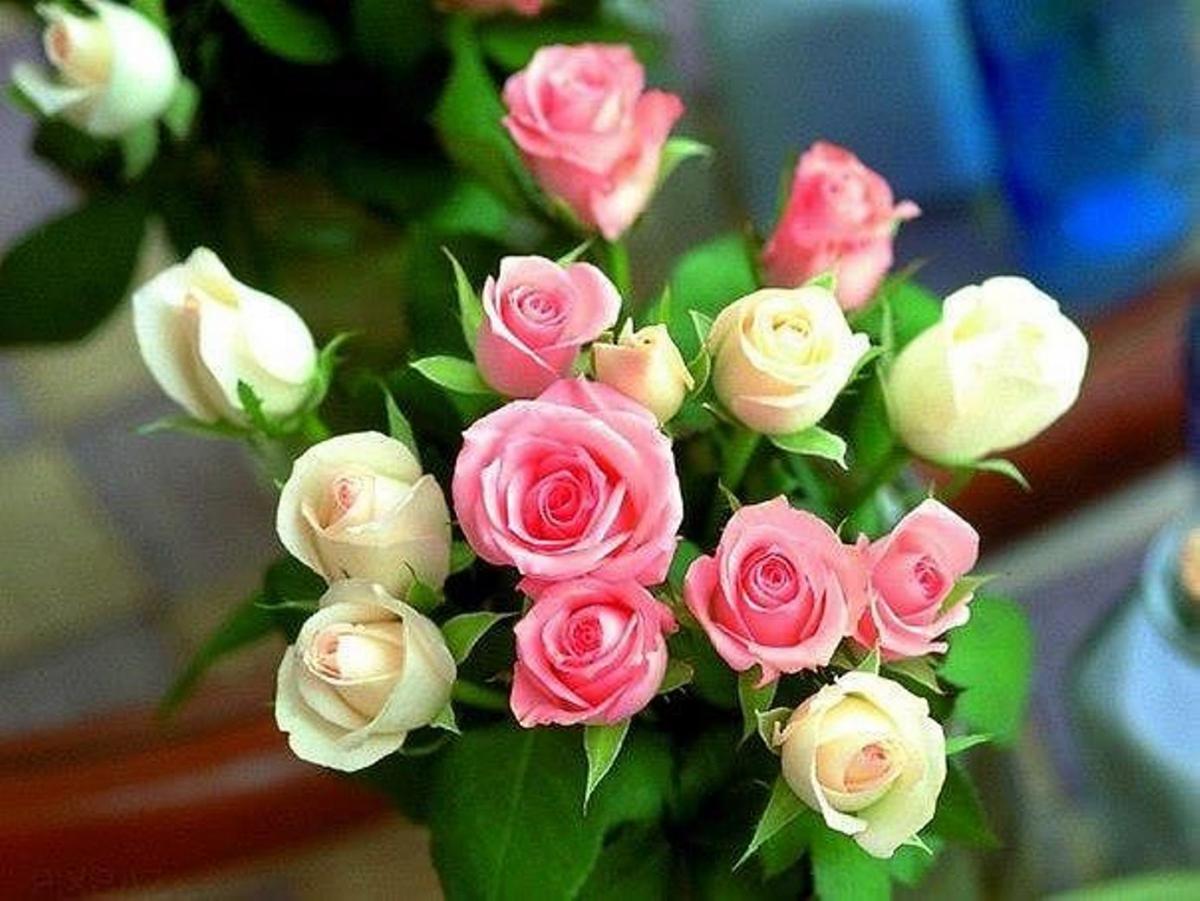 Поздравления с днем смеха в прозе фото 647