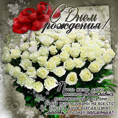 Белые розы поздравление с днем рожденья Белые розы поздравление с днем рожденья