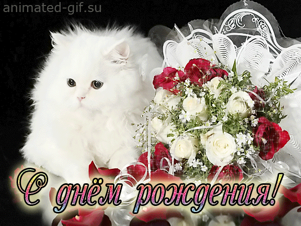 PDA.SXNAROD.COM: !   . RISLOVE -  !