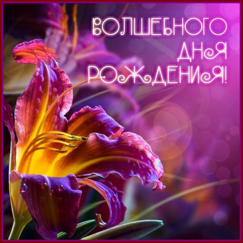 Поздравления всего волшебного с днем рождения