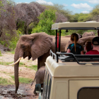 Туры в Танзанию, от 2690 у.е.