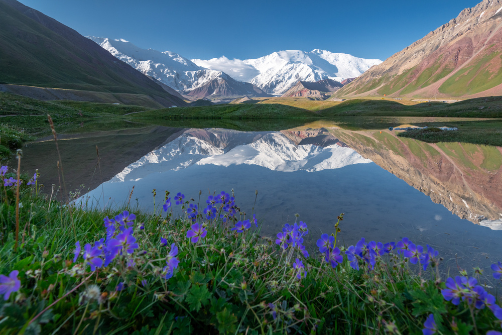 Әйелдер жеке порно фото видео