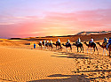 Большое путешествие в Марокко + Сахара и Агадир