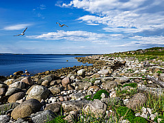 Путешествие в Архангельск. Северодвинск и Холмогоры