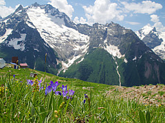 Тур в горы Кавказа: Адыгея – Архыз – Домбай – Эльбрус