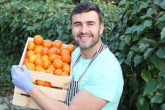 Оранжевое Ртвели