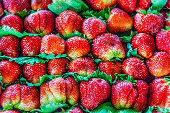 Сезон клубники в Узбекистане