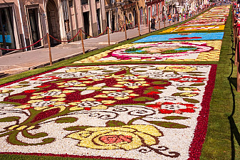 Цветочный ковер в Дженсано ди Рома
