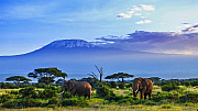 Найроби -Национальный парк Амбосели 