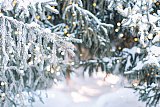 31.12, Пятигорск – музей М.Ю. Лермонтова*