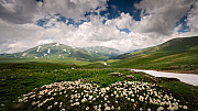 Горная Адыгея (треккинг по плато Лаго-Наки - Савранская канатная дорога)* 